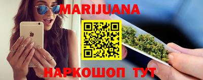 сатива Моздок